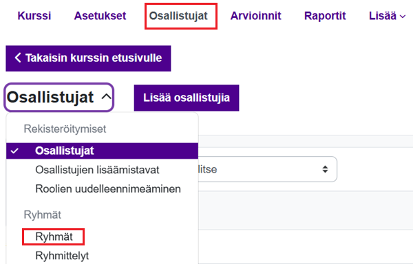 Osallistujat-välilehden valikko, josta ryhmien luominen aloitetaan.