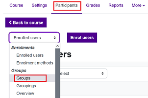 Create groups on the Participants tab