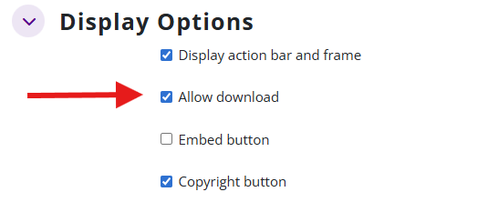 Activity setting, display options. Arrow points to selected checkbox Allow download. 